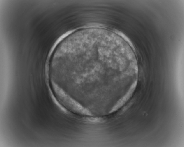 X0000083571003200703091633