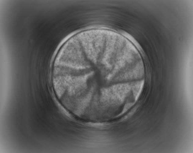 X0000083571004200703091633