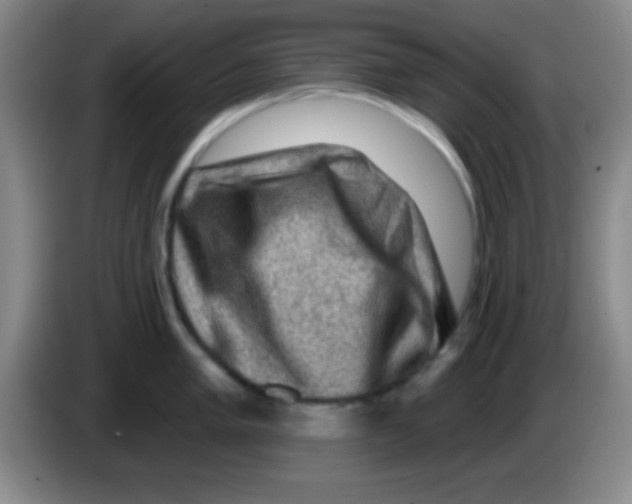 X0000083571005200703091633