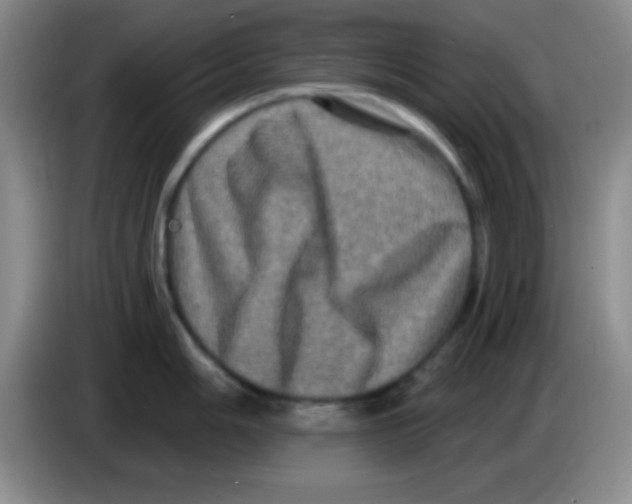 X0000083571006200703091633