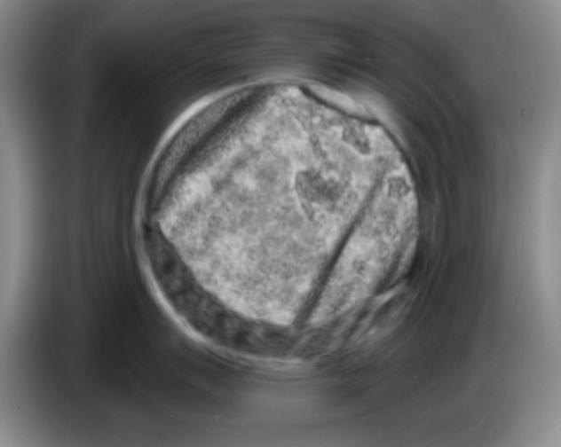 X0000083571007200703091633