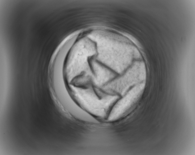 X0000083571008200703091633