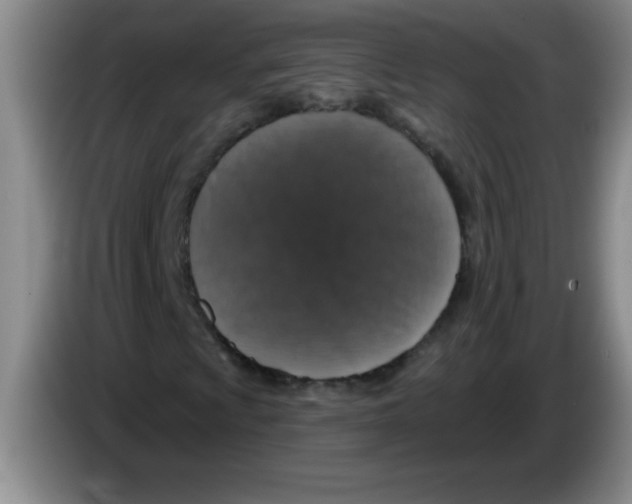 X0000083571009200703091633