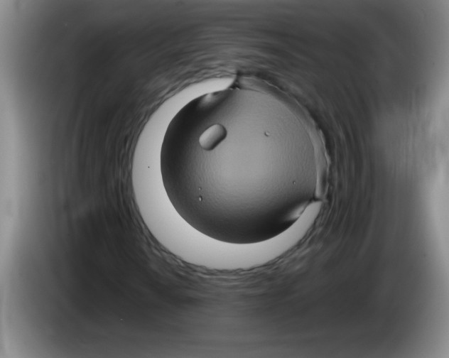 X0000083571010200703091633