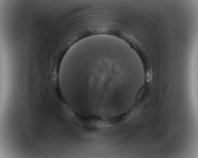 X0000083571011200703091633
