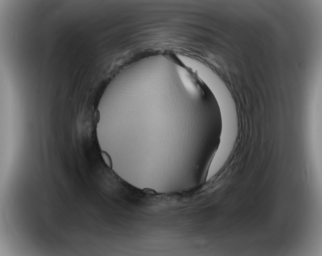 X0000083571012200703091633