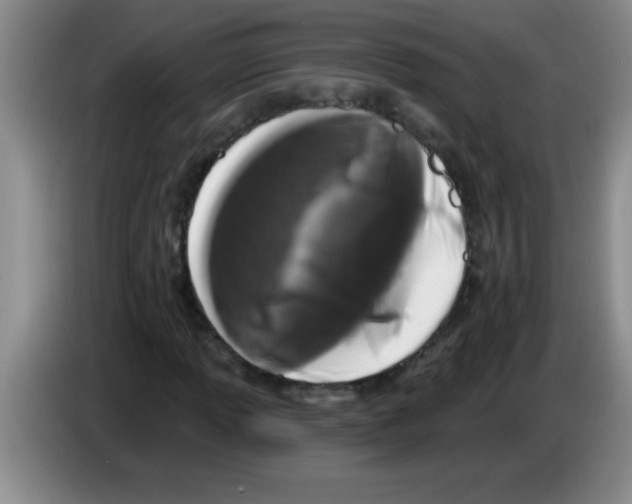 X0000083571013200703091633
