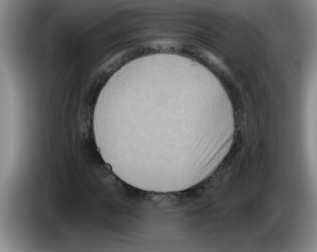 X0000083571015200703091633