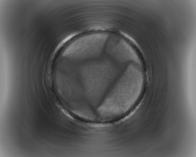 X0000083571018200703091633