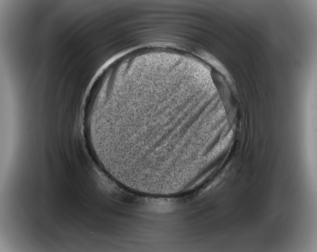 X0000083571020200703091633