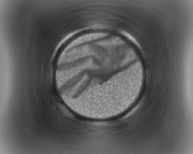 X0000083571021200703091633