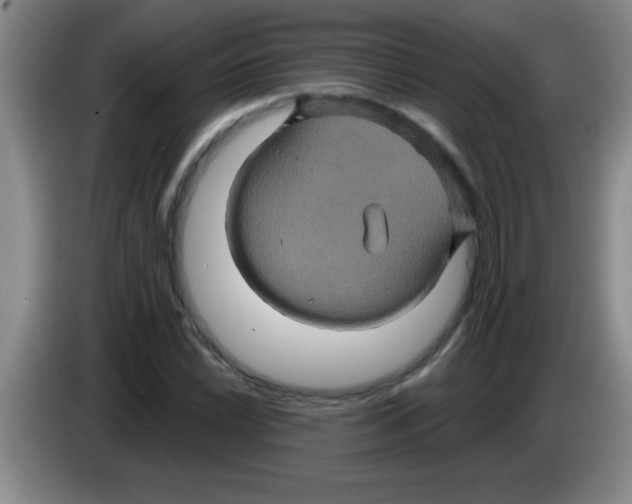 X0000083571022200703091633