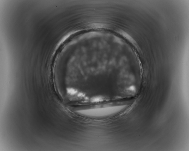 X0000083571023200703091633
