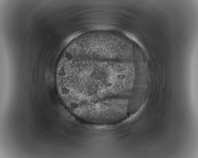 X0000083571025200703091633