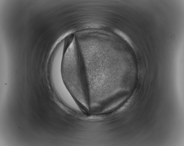X0000083571026200703091633