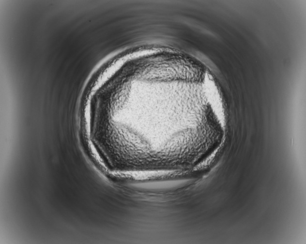 X0000083571028200703091633