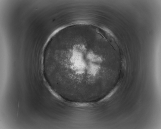 X0000083571030200703091633