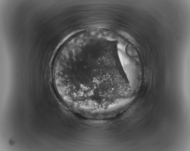 X0000083571031200703091633
