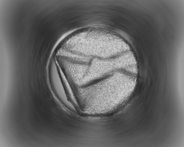 X0000083571032200703091633