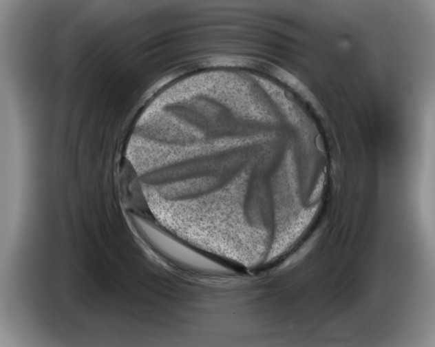 X0000083571033200703091633