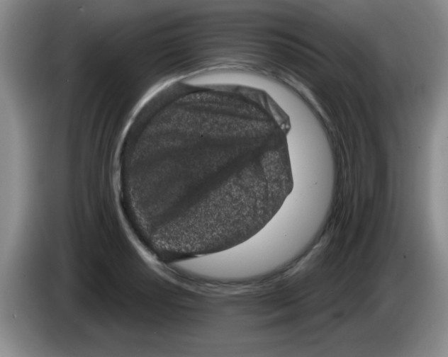 X0000083571034200703091633