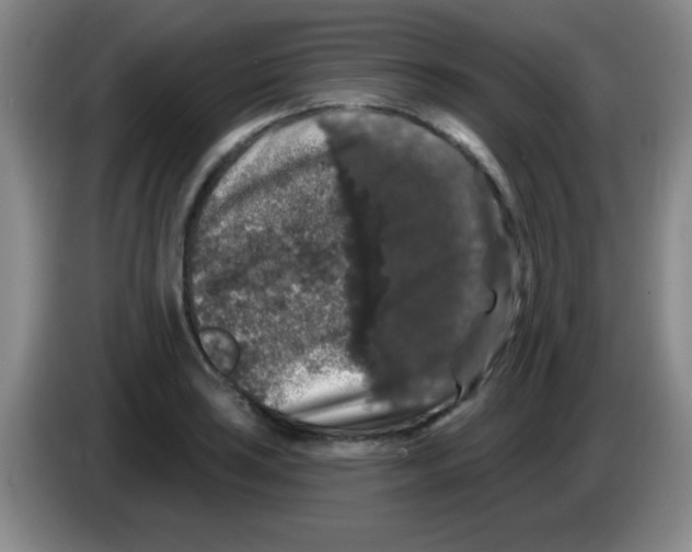 X0000083571035200703091633
