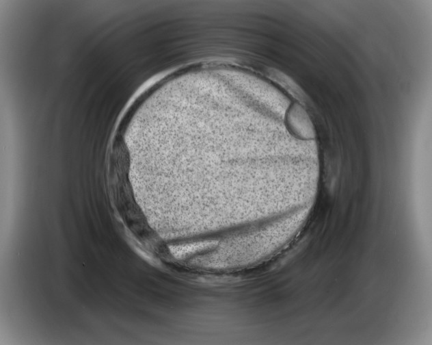 X0000083571036200703091633