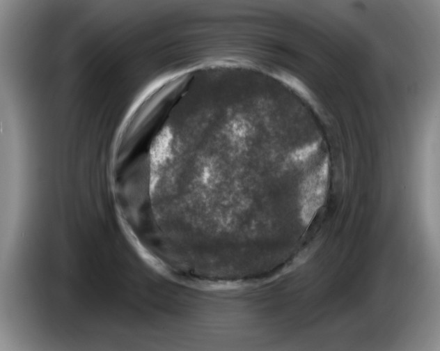 X0000083571038200703091633