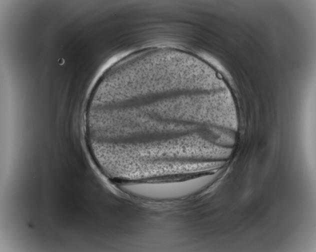 X0000083571040200703091633