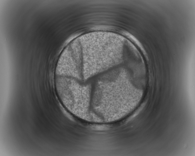 X0000083571041200703091633