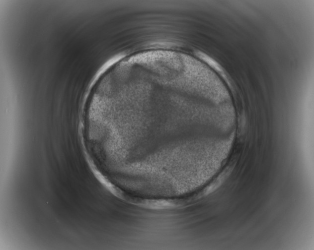 X0000083571042200703091633