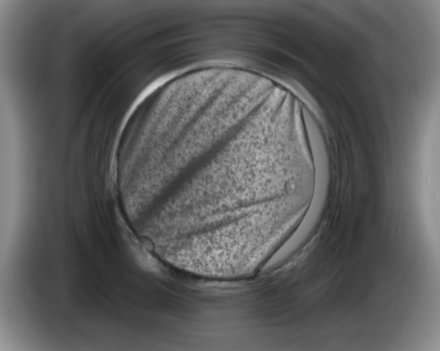 X0000083571044200703091633