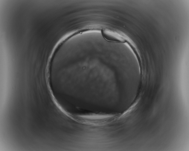 X0000083571045200703091633