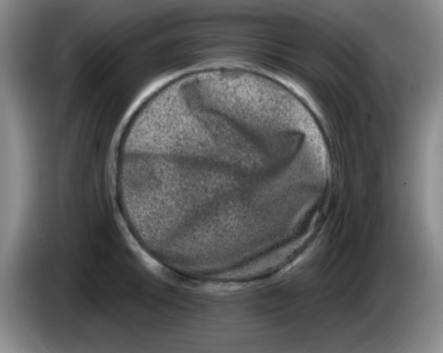 X0000083571046200703091633