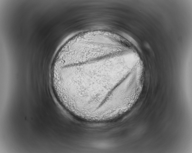 X0000083571047200703091633
