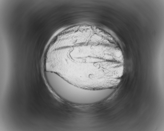 X0000083571048200703091633