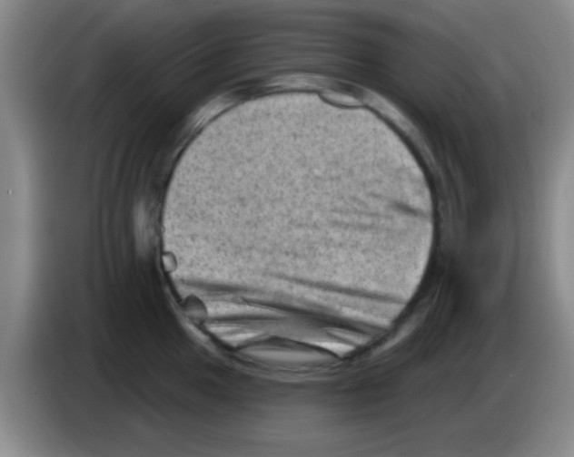 X0000083571049200703091633