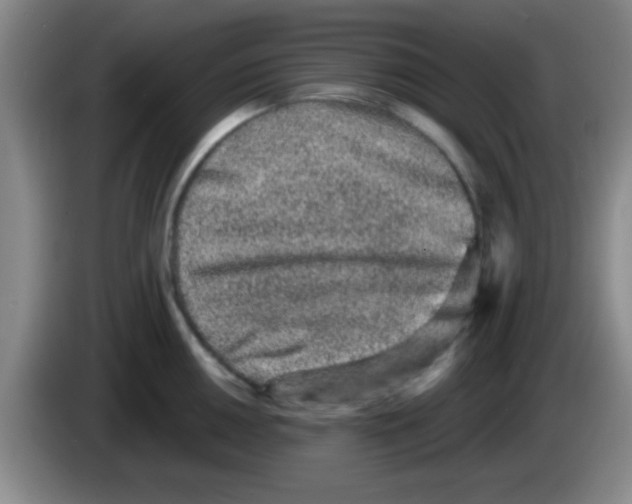 X0000083571050200703091633