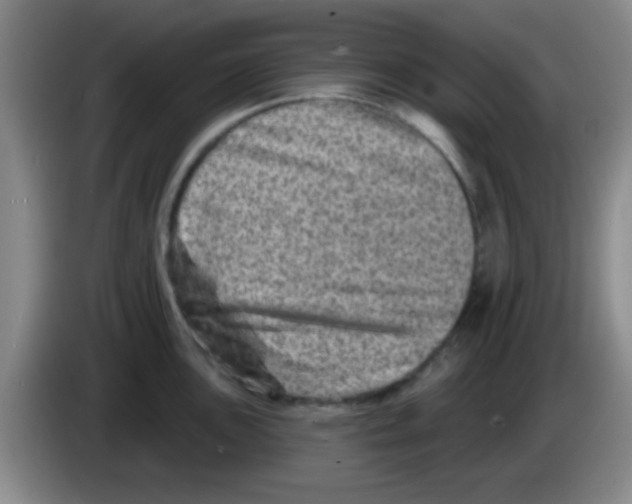 X0000083571051200703091633