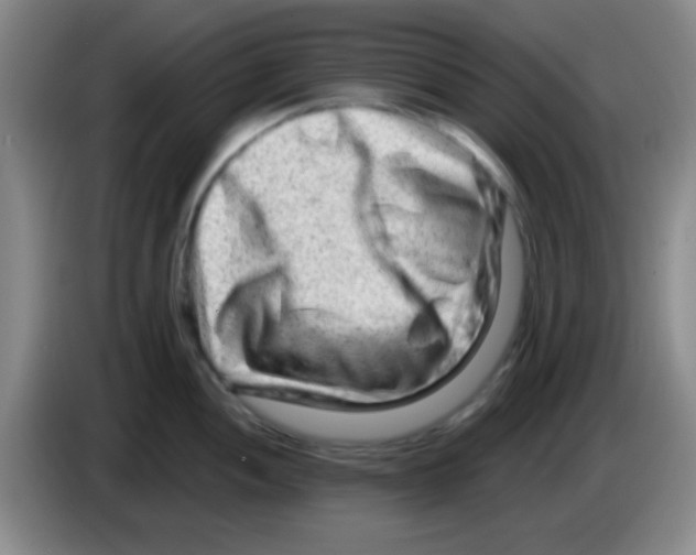 X0000083571052200703091633