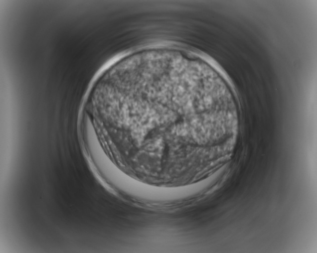 X0000083571053200703091633