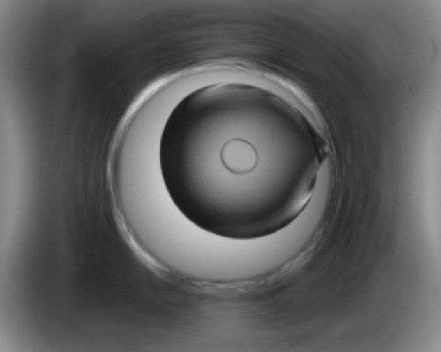 X0000083571054200703091633