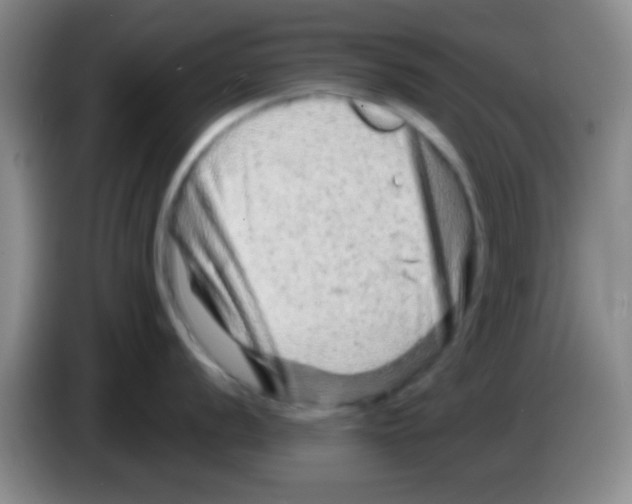 X0000083571056200703091633