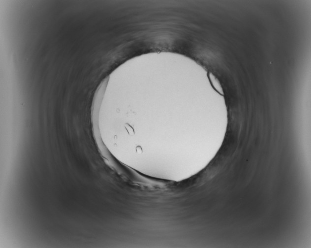 X0000083571057200703091633