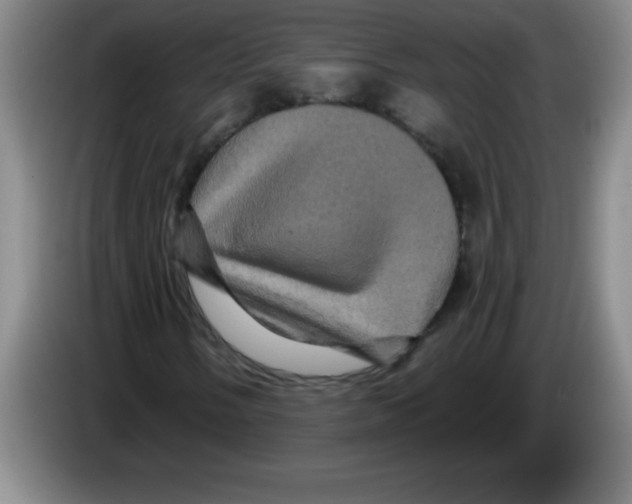 X0000083571058200703091633