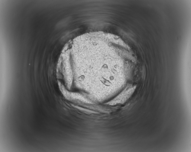 X0000083571059200703091633