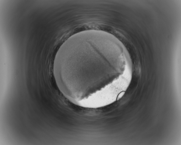 X0000083571060200703091633