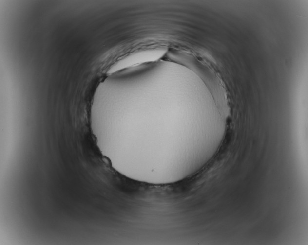 X0000083571062200703091633
