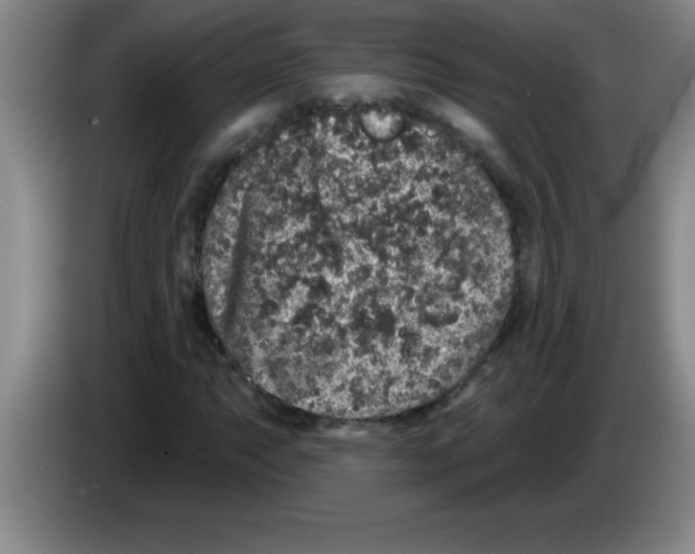 X0000083571063200703091633