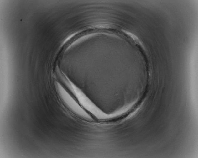 X0000083571065200703091633